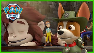 Pieski ratują zabawkę Harrego  Psi Patrol PAW Patrol po polsku  Pup Tales [upl. by Minette423]