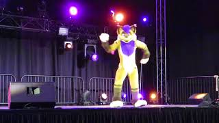 Midwest Furfest 2019  Dance Competition  Strobes  WINNER [upl. by Elocon]