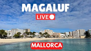 🔴 LIVE in MAGALUF Majorca Mallorca  7 April 2024 [upl. by Shanda]