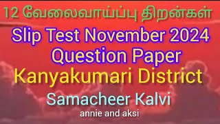 12th Employability skills tamil medium Slip test question paper november 2024 kanyakumari district [upl. by Ysac116]