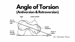 Angle of Torsion [upl. by Masson582]