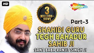 SHAHIDI GURU TEGH BAHADUR SAHIB JI PART 3 SANT BABA RANJIT SINGH JI [upl. by Roseanne]