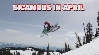 Snowmobile Jumps In Owls Head Sicamous BC [upl. by Venable]