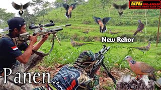 BERBURU AYAM HUTAN DAN TEKUKUR TERBARU ‼️ [upl. by Durstin125]