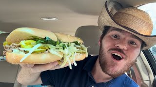 Wawa Pulled Pork Sandwich Review [upl. by Ykvir]