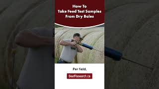 How to take hay samples to test nutrition cattlefeeding farming cow cattlefeed beefcattle [upl. by Torray]