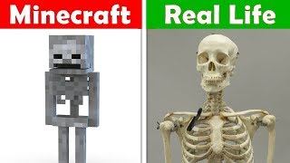 MINECRAFT SKELETONS IN REAL LIFE Minecraft vs Real Life animation CHALLENGE [upl. by Jocelin]