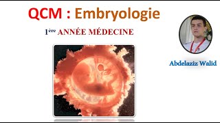 QCM  Embryologie [upl. by Aciretahs]