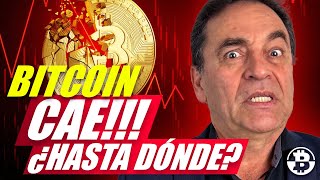 Bitcoin cae ¿Hasta dónde bullrun halving [upl. by Lecirg]