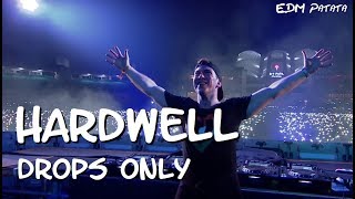 Hardwell Drops Only  Worlds Biggest Guestlist 2017 India [upl. by Josh]