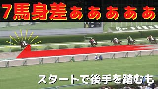 【クリソベリル】4コーナーから7馬身差で圧勝デビュー！【競馬】 [upl. by Fernas]