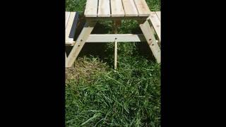 Kids Picnic Table [upl. by Essilevi]