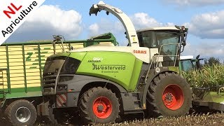 Mais hakselen  NEW Claas Jaguar 950  Fendt 930  724  Westerveld  Dinxperlo  2018 [upl. by Atteiram42]