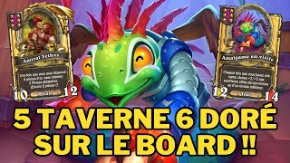 5 TAVERNE 6 DORE SUR LE BOARD   Hearthstone Battlegrounds Top Europe [upl. by Enialedam633]