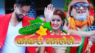 New Comedy Teej Song 20772020  KAKARI JHALAILE Ganesh adhikari ft Aashir Pratap Anjali Adhikari [upl. by Smart]