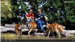 Sommertour des Sachsen Fernsehen ist zu Gast im Sonnenlandpark Lichtenau  2022 [upl. by Ruckman41]