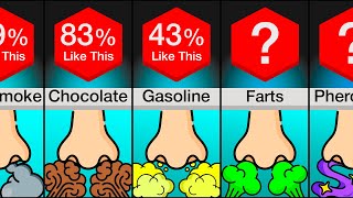 Comparison Favorite Smells [upl. by Marinna]