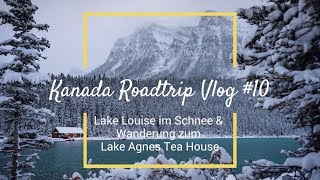 Lake Louise im Schnee • Wanderung zum Lake Agnes Tea House  KANADA ROADTRIP VLOG 10 [upl. by Hallsy533]