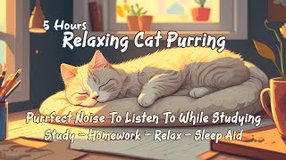 Relaxing Cat Purring  Purrfect Noise To Listen To While Studying  StudyRelaxSleep Aid  5 Hours [upl. by Alsi287]