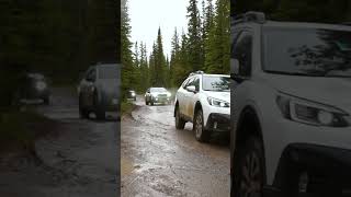 Rainy Subaru Wilderness OffRoad Adventure [upl. by Yatnod]