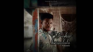 Sadiq Saleh  Fuskar kwandala  Official Audio [upl. by Nilac]