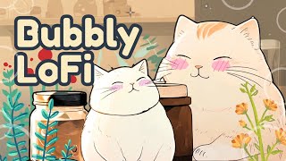 LoFi Vibes for Rainy Days ☔  15 Hours of Chill Beats for Study Relax amp Coffee  LoFi Bubbly Cat [upl. by Neelon28]