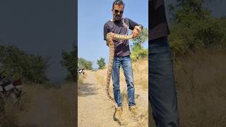 कसा हल्ला केला या अजगराने snakes snakebite python nature reels shorts rescue snakerescue [upl. by Upton]