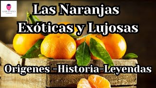 Las Naranjas Por que se les conoce como las Frutas de la India [upl. by Welker]