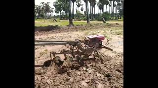 Farmers plow crops land plowing farming good foryou status [upl. by Adnic559]