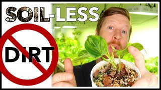 Get Rid of Your Soil  Soilless Potting Mix Recipes for Rare Aroids [upl. by Zailer]