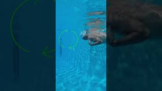 Master Freestyle Rotation swimming [upl. by Eleanor]