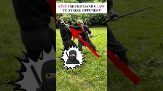 How To Use NINJUTSU Shuko Hand Claws in a FIGHT 🥷🏻 Shorts Ninjutsu MartialArts [upl. by Ytissac]