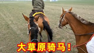 第一次来到大草原，差点被马给打了！【开箱小钻风】 [upl. by Eimmac8]