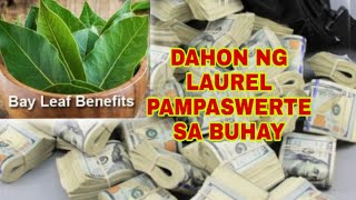 DAHON NG LAUREL PAMPASWERTE SA BUHAYApple Paguio7 [upl. by Darmit]