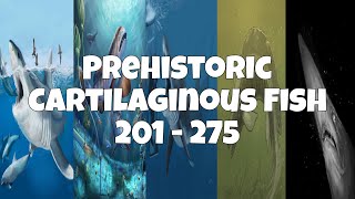 Prehistoric Cartilaginous Fish 201  275 55 [upl. by Cheria291]