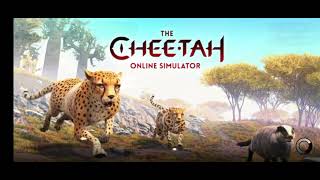 random the cheetah gameplay 2 [upl. by Notsehc]