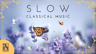 Slow Classical Music [upl. by Ednalrym]