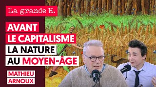 AVANT LE CAPITALISME  LA NATURE AU MOYEN ÂGE  MATHIEU ARNOUX JULIEN THÉRY [upl. by Jaymie]