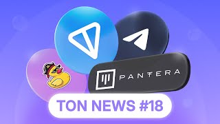 TON  Pantera Capitals Biggest Bet in 21 Years – 20M Raised  NEWS 18 [upl. by Jamie779]