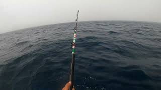 Yellowfin Tuna Ensenada Fishing Panga Madness My first Yellowfin [upl. by Dean]