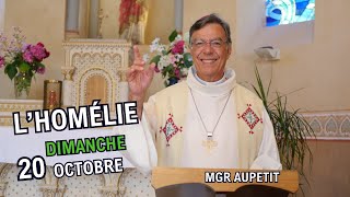 Homélie Mgr Aupetit 20 octobre 2024 [upl. by Hsirt]