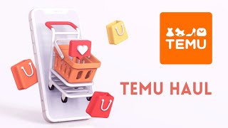 TEMU Haul  Stationery organization items beauty and more 🛍️ [upl. by Coplin]