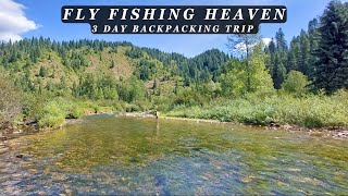 This stream is the Epitome of Perfection  3 day Backcountry Fly Fishing Trip [upl. by Darken]