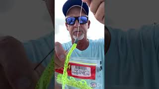 Busting Redfish on Zoom Lizzardfishing redfish bassfishingZoom Lizzard [upl. by Darees647]