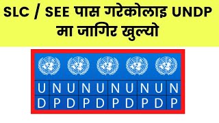 UNDP मा जागिर खुल्यो  UNDP Nepali Driver Job Vacancy [upl. by Lenahc]