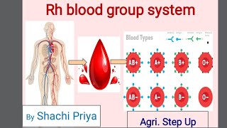 Rh blood grouping system Inheritance of Rh factor Rh incompatibility Erythroblastosis fetalis [upl. by Arbrab]