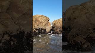 Surf at Schooner Gulch State Beach Mendocino County California The None Bowling Ball side [upl. by Ahsi]