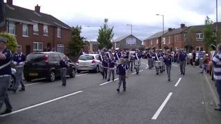 Newtownards Protestant Boys FB  Vol Robert Squeak Seymour Memorial Parade 2014 [upl. by Jaclyn]