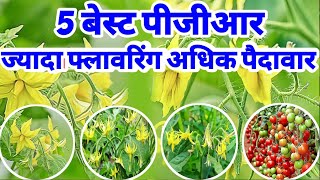 5 best PGR  Best PGR  PGR Plant growth regulator ज्यादा फ्लावरिंग ज्यादा फुटाव [upl. by Giarg]