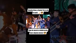 Klandestinos y Banda Tierra de Aranda rockstar regionalmexicano bandasinaloense ska skamexicano [upl. by Binnie]